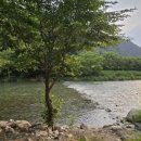 내리계곡펜션 이미지