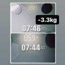 핏3.3