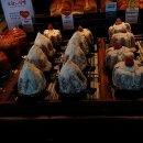 카페리코 이미지