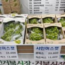 신거북시장(9) 이미지