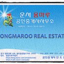 용마루공인중개사사무소 Daum카페