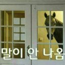 쿡쿡분식