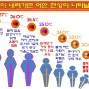 편백효소방 이미지