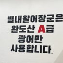 별내활어장군
