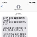 수수국수 네이버블로그