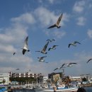 포항동부초등학교 이미지