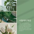 재마루길 이미지