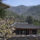 달맞이 흑두부 | 화순 맛집 l 달맞이 흑두부도곡본점 점심 후기 (내돈내산)