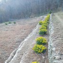 해인펜션 이미지