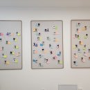 한국고양이혈액센터 이미지