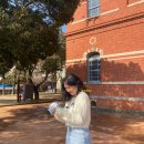 [목포] 광주 근교 목포 포토 스폿 코스 추천!(연남 물갈비, 근대역사문화관, 유달산 조각 공원, 스카이...