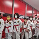 탑동태권도 이미지