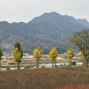 대강면 가덕마을 이미지