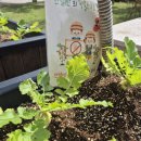 시흥가온유치원 이미지