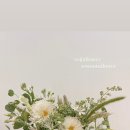 내추럴픽 이미지