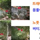 루트밸리 이미지
