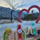 속초751샌드위치 이미지