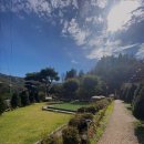 포포애견펜션 이미지