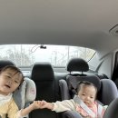 칠곡))대구,포항 근교 아이들과 가기좋은 카페 실내놀이터+아쿠아리움+식물원까지?“러키더키 패밀리랜드”