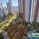 한들물빛중학교 이미지