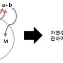 수와나 이미지