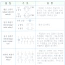 기호