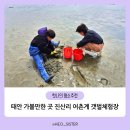 태안 아이와 가볼 만한 곳 추천! 진산리 어촌계 갯벌체험장 후기(준비물, 꿀팁)