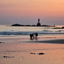 저녁노을 이미지