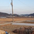 부곡3리 이미지