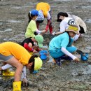 선재어촌체험휴양마을 이미지