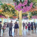 5월4일(일) 고양국제꽃박람회 및 호수공원#1 이미지