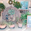 파티오6747 이미지