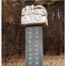 충주시 목행동 충주최씨 최렴(崔濂) 신도비 이미지