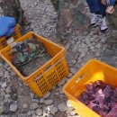 코리아 게임장 이미지