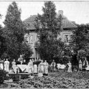 호주세탁소 이미지