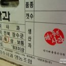 해를품은과일
