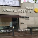 마리동물병원 이미지