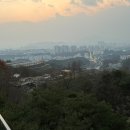 [11월 3주차 주말일상] 그린카 빌려서 스파르타 운전연습 •_•✌🏻/의식의 흐름대로....