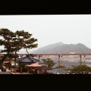 월송유로베이커리&로스터리