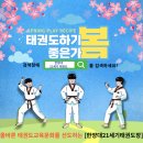21세기 태권도 이미지