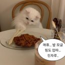 미누