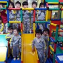 점폴린파크 Daum카페