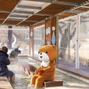 충주시 수안보 족욕 체험장, 겨울에도 이상 무! 이미지