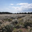 정석태양광발전소 이미지