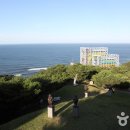 국립대관령치유의숲 네이버블로그
