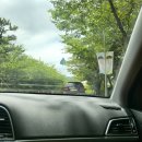 P-6517 | 부산 초보운전 장롱면허 방문 운전연수 영드라이브 가격 솔직 후기