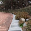 반룡공원 이미지