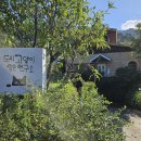 도시고양이생존연구소 이미지