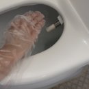 크린스케어 네이버블로그
