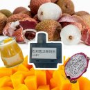 베이피움 - 강남구 삼성로85길 42 | 베이피움